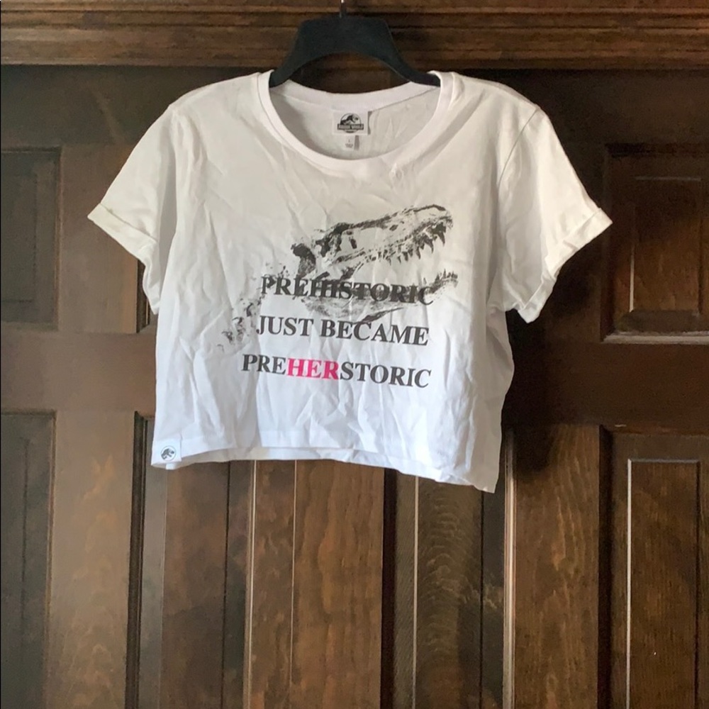 Jurassic Park Crop Top